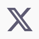x logo