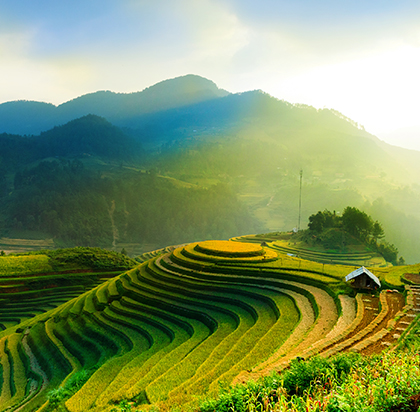 Sapa